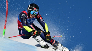 Ski alpin: Hector à pas de géant vers les Jeux, Worley bien lancée aussi