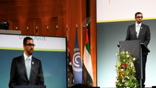 Presidente da COP28 pede triplicação da capacidade de energias renováveis até 2030