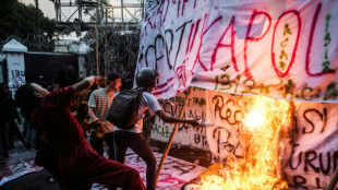 Govt gestures leave roots of Indonesia protests intact