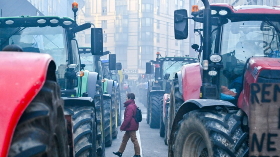 EU-Agrarminister beraten über Erleichterungen für Bauern