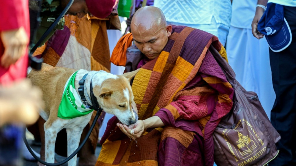  US-based Buddhist monks bring peace walk to Sri Lanka 