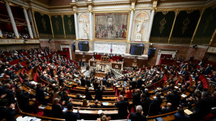 Assembl&eacute;e: nouvelle semaine, nouvelles motions, le RN votera celle de LFI