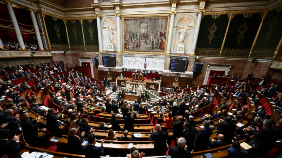 Assembl&eacute;e: nouvelle semaine, nouvelles motions... et nouveau 49.3 ?