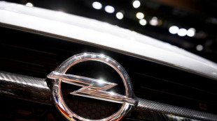 Rekordgewinn bei Autobauer Stellantis - Opel-Beschäftigte profitieren