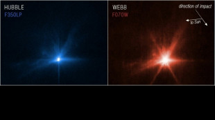 La NASA logr&oacute; desviar trayectoria de asteroide en test de defensa de la Tierra