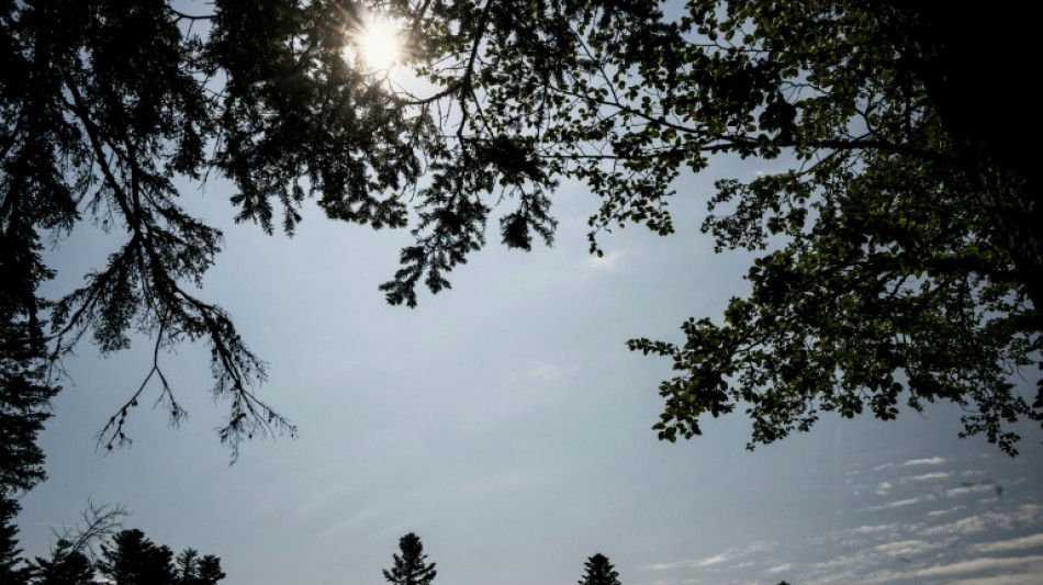  La canicule historique &agrave; peine termin&eacute;e, le mercure s'envole &agrave; nouveau en France 