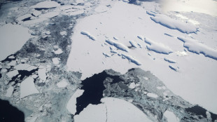 PIK-Studie: Kipppunkt bei Eisschmelze in der Westantarktis noch nicht erreicht