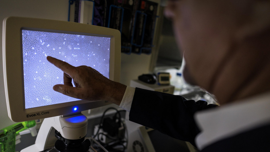  Le cellule tumorali riscrivono le loro istruzioni genetiche 