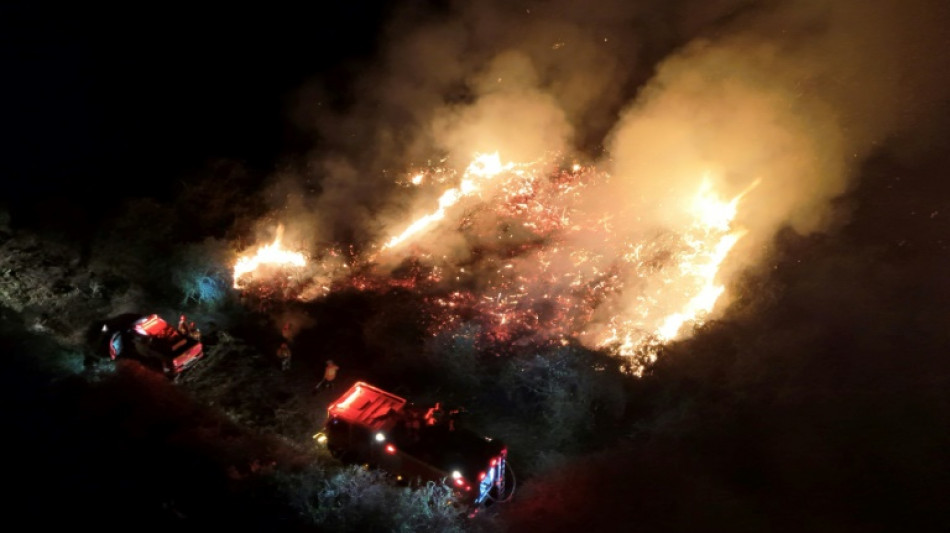 Incendios r&eacute;cord en el Pantanal brasile&ntilde;o en junio, antes de la temporada seca