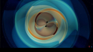 Gravitational waves from black hole smash confirm Hawking theory