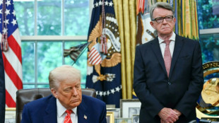 Epstein birthday book renews pressure on Trump, other former pals