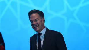 Rutte, 'serve uno scatto, ora rivoluzione industriale della difesa'
