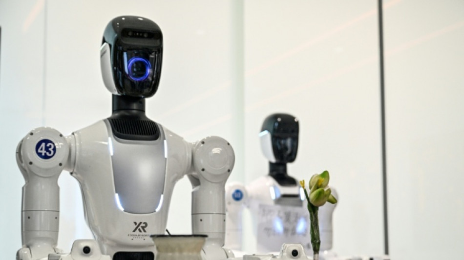  Viele Menschen w&uuml;rden mehrere tausend Euro f&uuml;r humanoide Haushaltsroboter zahlen 