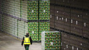 Heineken verkauft mehr Bier - Umsatz wegen W&auml;hrungseffekten leicht r&uuml;ckl&auml;ufig