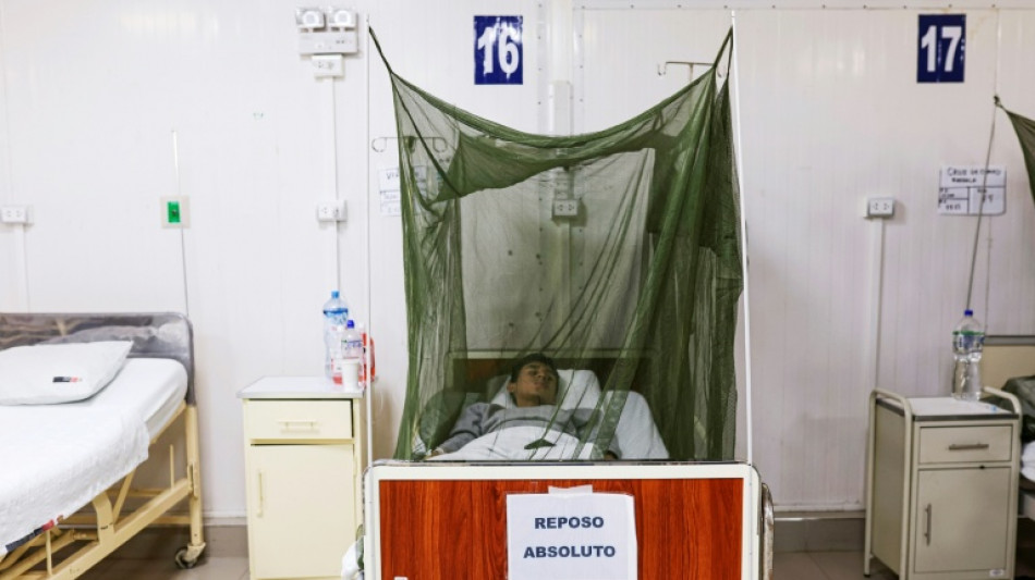  Per&uacute; registra 67 muertos por dengue en lo que va de a&ntilde;o 