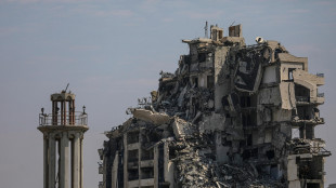 Sisi a Trump, 'ogni sforzo per fermare la guerra a Gaza'