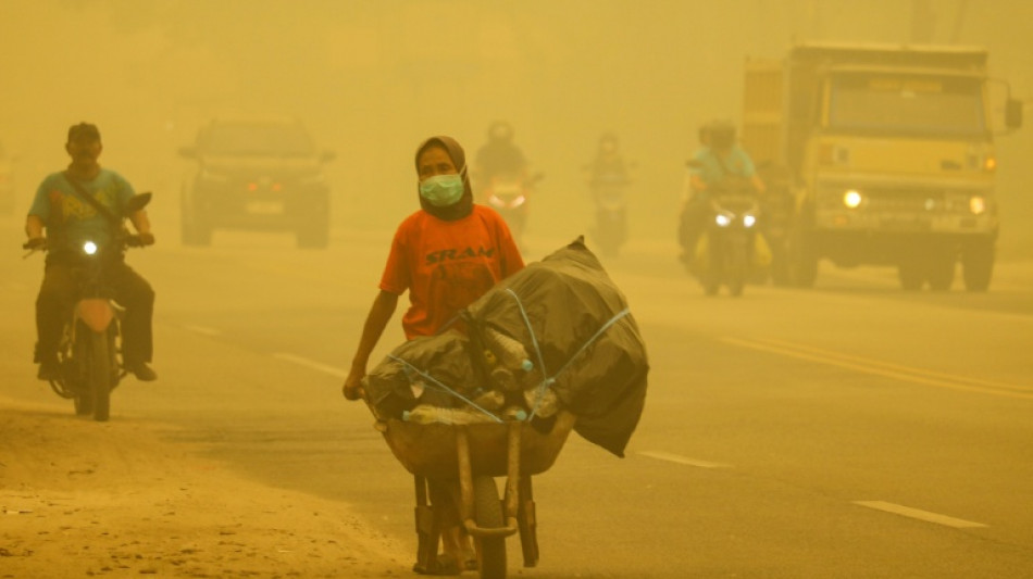  La contaminaci&oacute;n por los incendios mat&oacute; a 3.560 personas en Indonesia en septiembre 