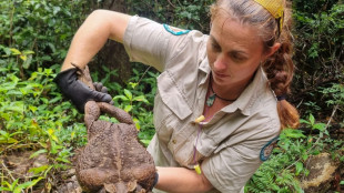 Australische Wildhüter entdecken