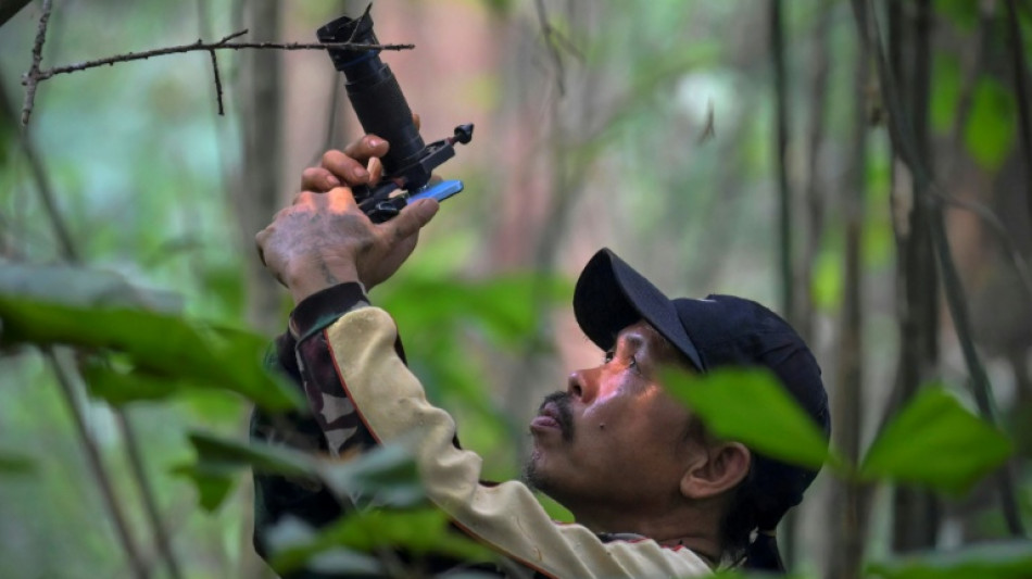  Indonesia cash-for-photos scheme turns animal hunters into protectors 