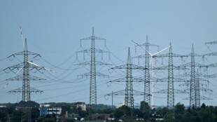 CO2-Aussto&szlig; durch Energieproduktion deutlich gesunken - Stra&szlig;enverkehr stagniert