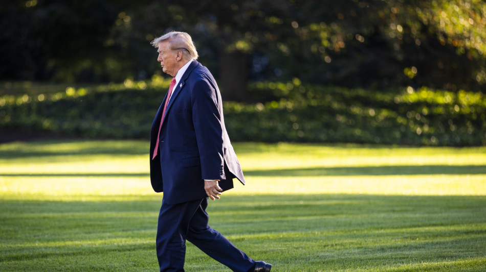  Trump difende Witkoff per aver chiamato Putin compassionevole 