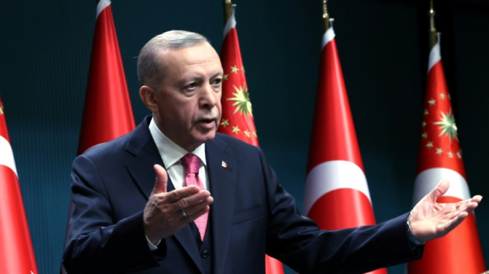 Turquie: Erdogan confirme par d&eacute;cret la tenue des &eacute;lections mi-mai