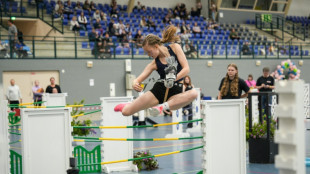 Le cheval b&acirc;ton, loisir d&eacute;cal&eacute; en plein essor en Finlande