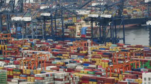 Ifo-Umfrage: Exporterwartungen der Unternehmen etwas besser