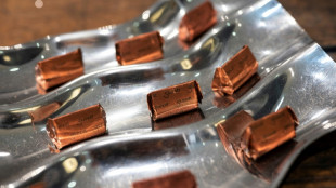 Teure Osterhasen: Kakaopreise steigen so stark wie seit 20 Jahren nicht