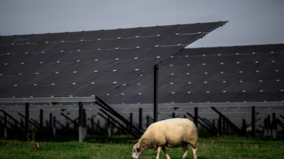 Agrivolta&iuml;sme : "Le tout d&eacute;but" d'une fili&egrave;re mondiale, assure un chercheur
