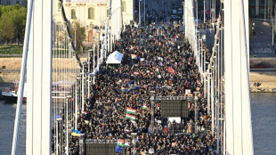 LGBT+ et binationaux: nouveau tour de vis constitutionnel en Hongrie