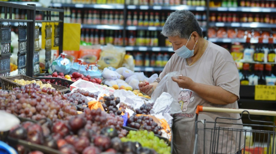 Ifo-Institut erwartet weiter steigende Lebensmittelpreise