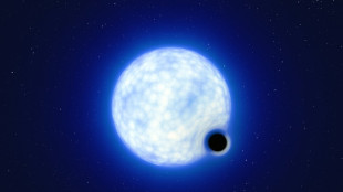 First 'dormant' stellar black hole discovered by debunking team