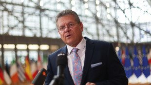 Sefcovic vede Greer, 'lavoro con Usa in giusta direzione'