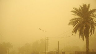 Una nueva tormenta de arena golpea a Irak, Kuwait y Arabia Saudita
