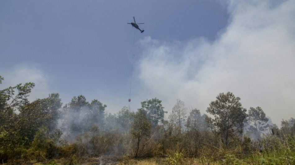  Indonesia doing 'everything' but still struggling to curb fires 