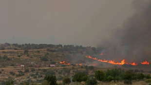 Israel brings fire near Jerusalem 'under control', reopens roads