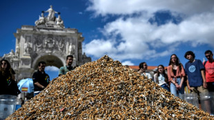Umweltaktivisten häufen in Lissabon 650.000 Zigarettenstummel auf