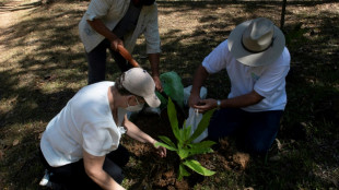 Una fundación de Costa Rica promueve la siembra de 6 millones de árboles en honor a las víctimas del covid-19