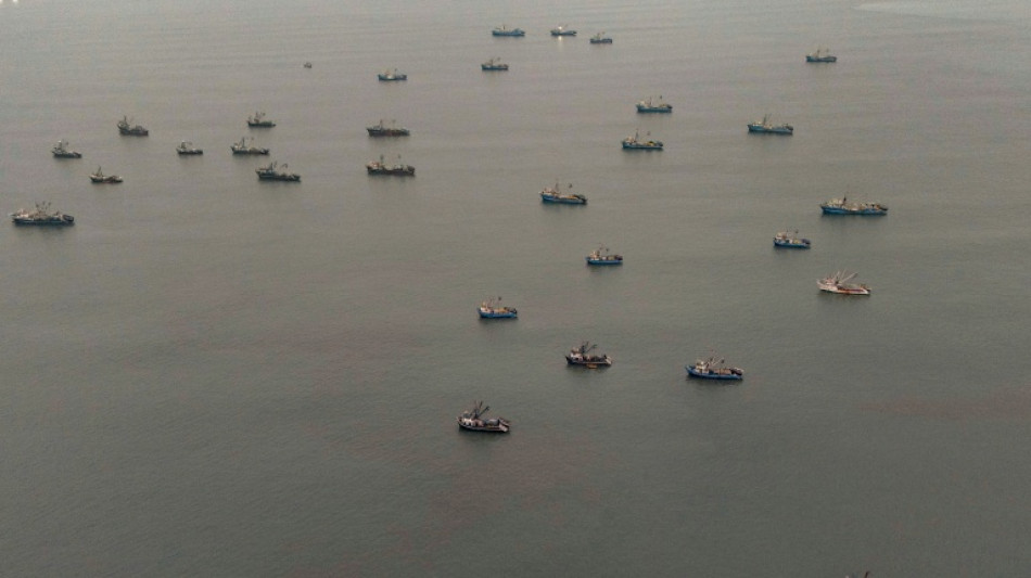  El Nino hammering Peru anchovy fishing: industry officials 