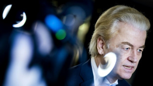 Rückschlag für niederländischen Rechtspopulisten Wilders bei Regierungsbildung