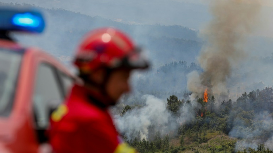 Les flammes et la désolation s'emparent à nouveau du Portugal