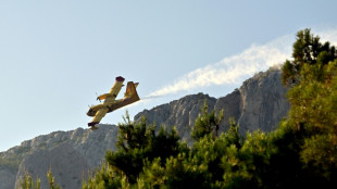 Waldbrände verwüsten 300 Hektar Land in kroatischer Urlaubsregion nahe Split 