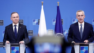 Vor Weimarer Dreieck: Nato und Polen fordern mehr Militärhilfe für Kiew
