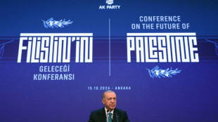 Ankara verschiebt nach Kritik Pl&auml;ne f&uuml;r Kreditkartensteuer f&uuml;r R&uuml;stungsindustrie