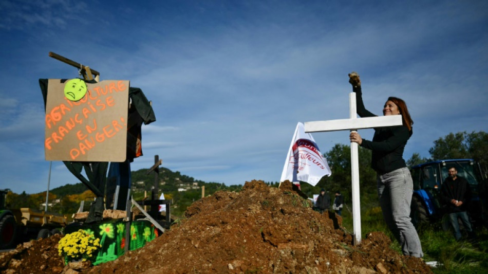 Widerstand gegen Mercosur-Abkommen: Neue Bauernproteste auf Frankreichs Stra&szlig;en