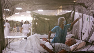 Les ravages de la dengue au Pérou, infections record au Brésil et en Argentine
