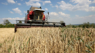 Poland, Hungary, Slovakia defy end of EU Ukraine grain import ban
