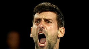 Open d'Australie: Djokovic &agrave; deux marches d'un 22e titre du Grand Chelem