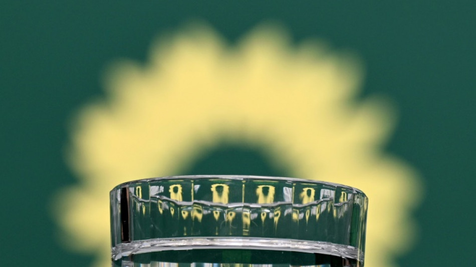 Gr&uuml;ne in Hamburg w&auml;hlen Abgeordnete Storm und Alam zu neuen Parteichefs